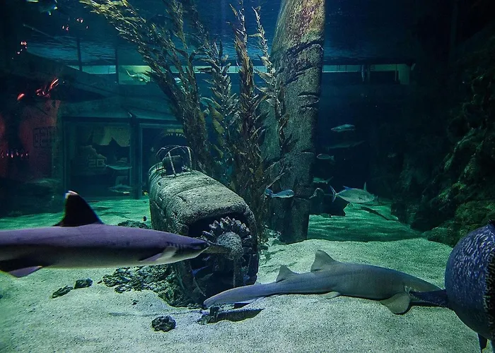 Apartamento Studio *